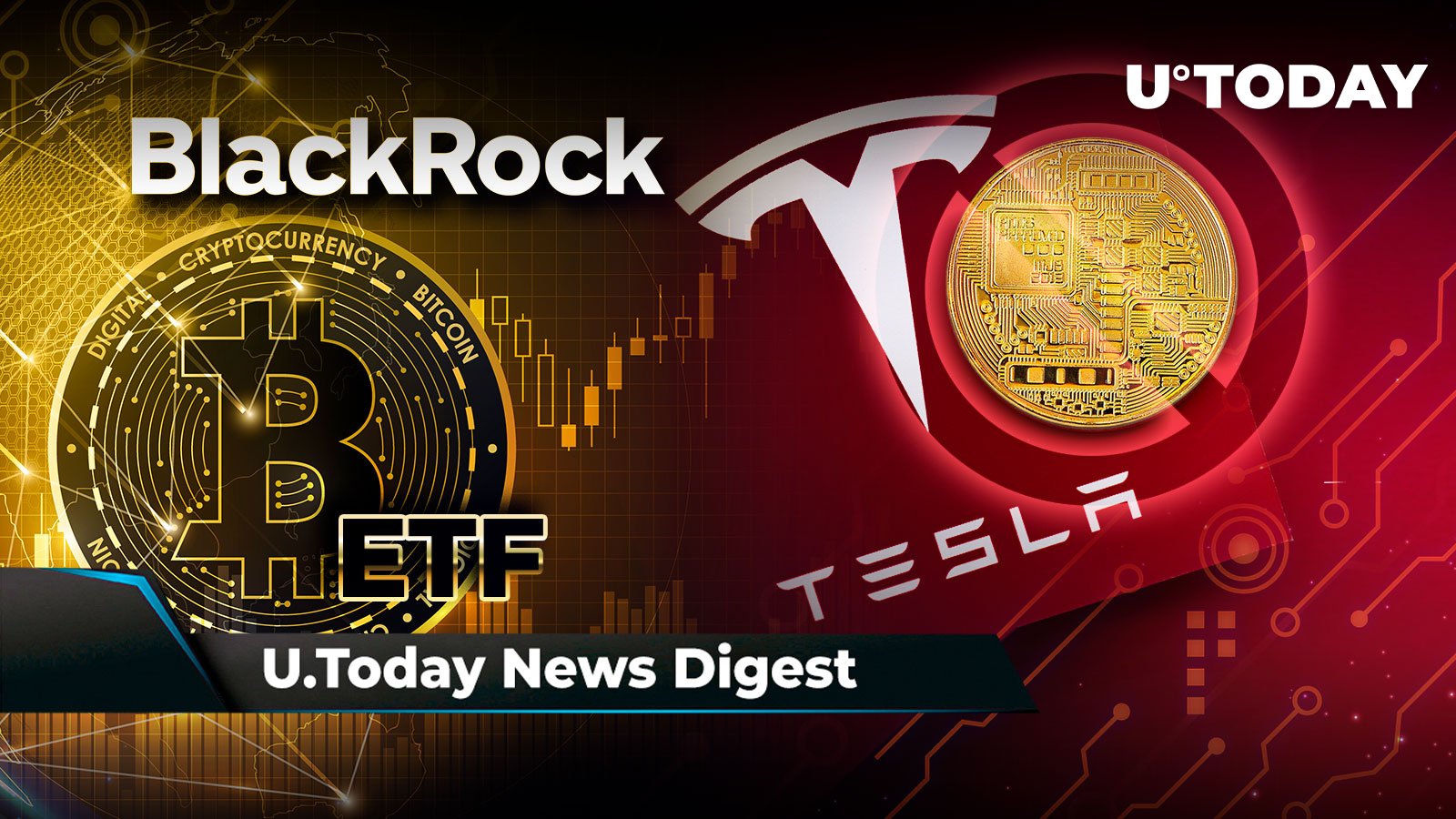 BTC Might Touch $56,000 On BlackRock ETF Trigger, Tesla Puts Crypto ...