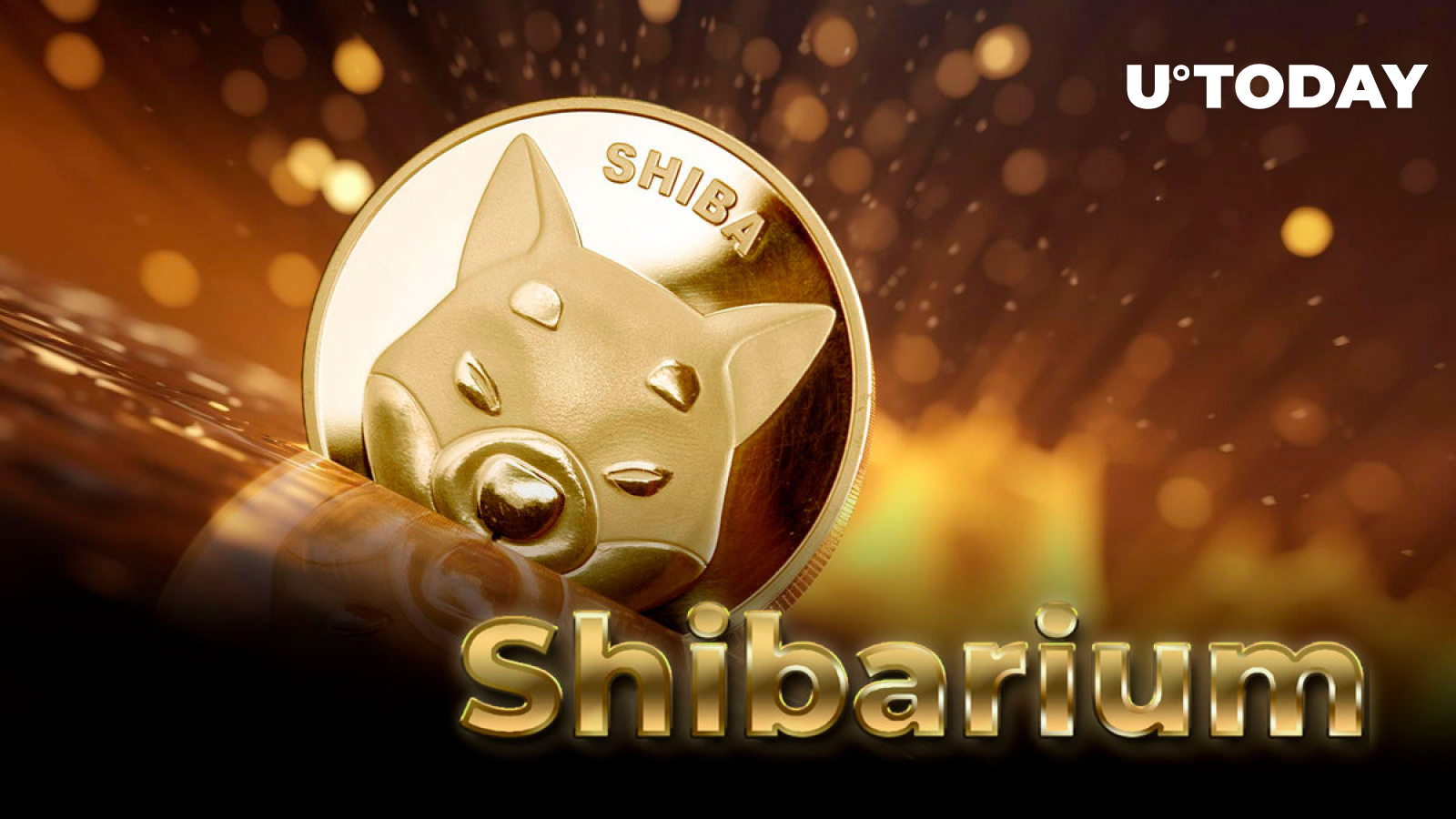 Shiba Inu's Shibarium Receives New Feature, Transactions Spike