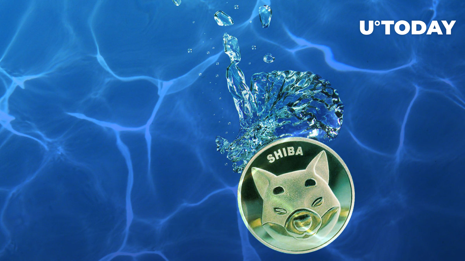 SHIB: Bottom Signals Everywhere – Trader Scott Melker