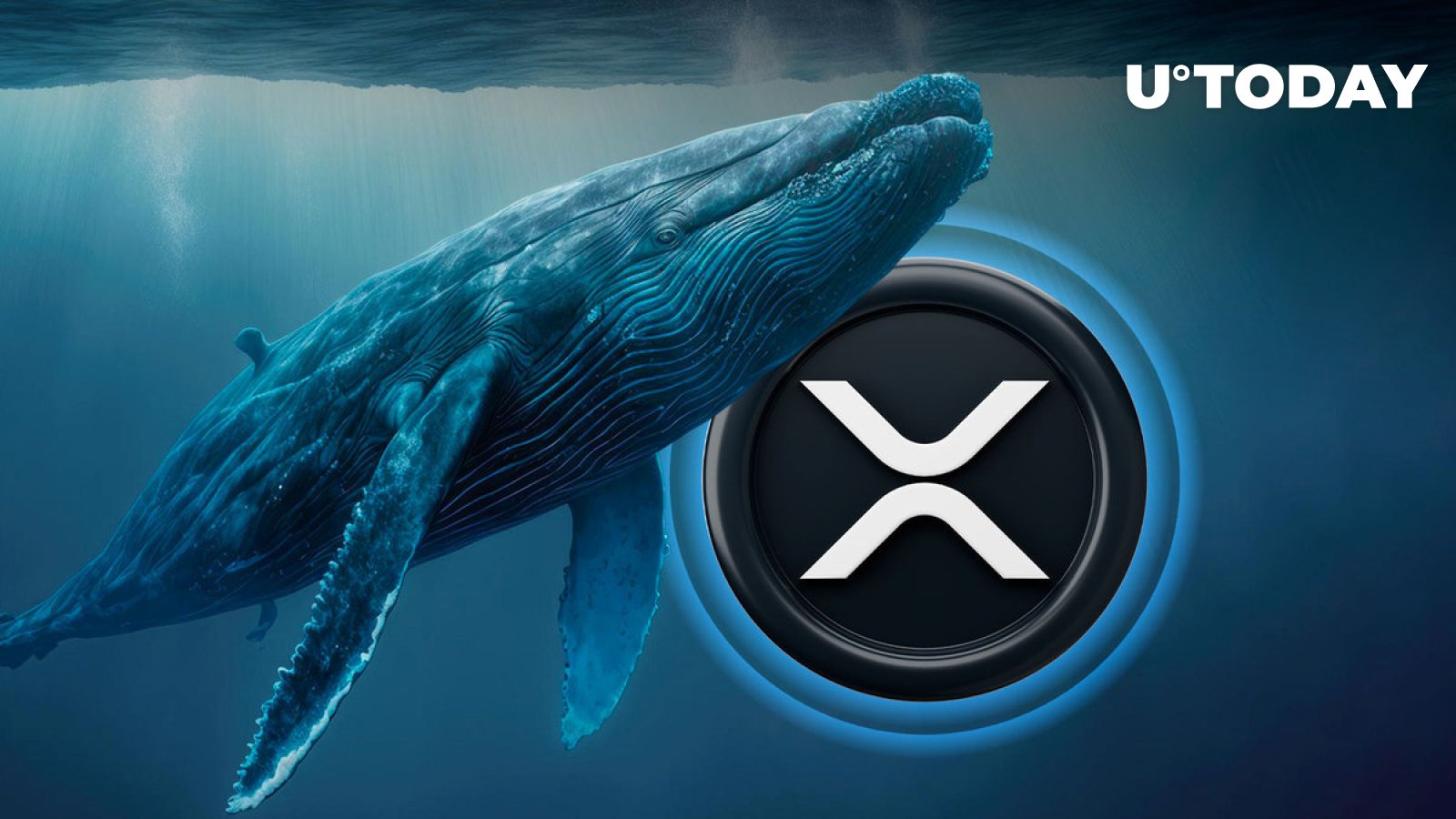 Xrp Whale Moves 412 Million Coins In One Go What Is Plan