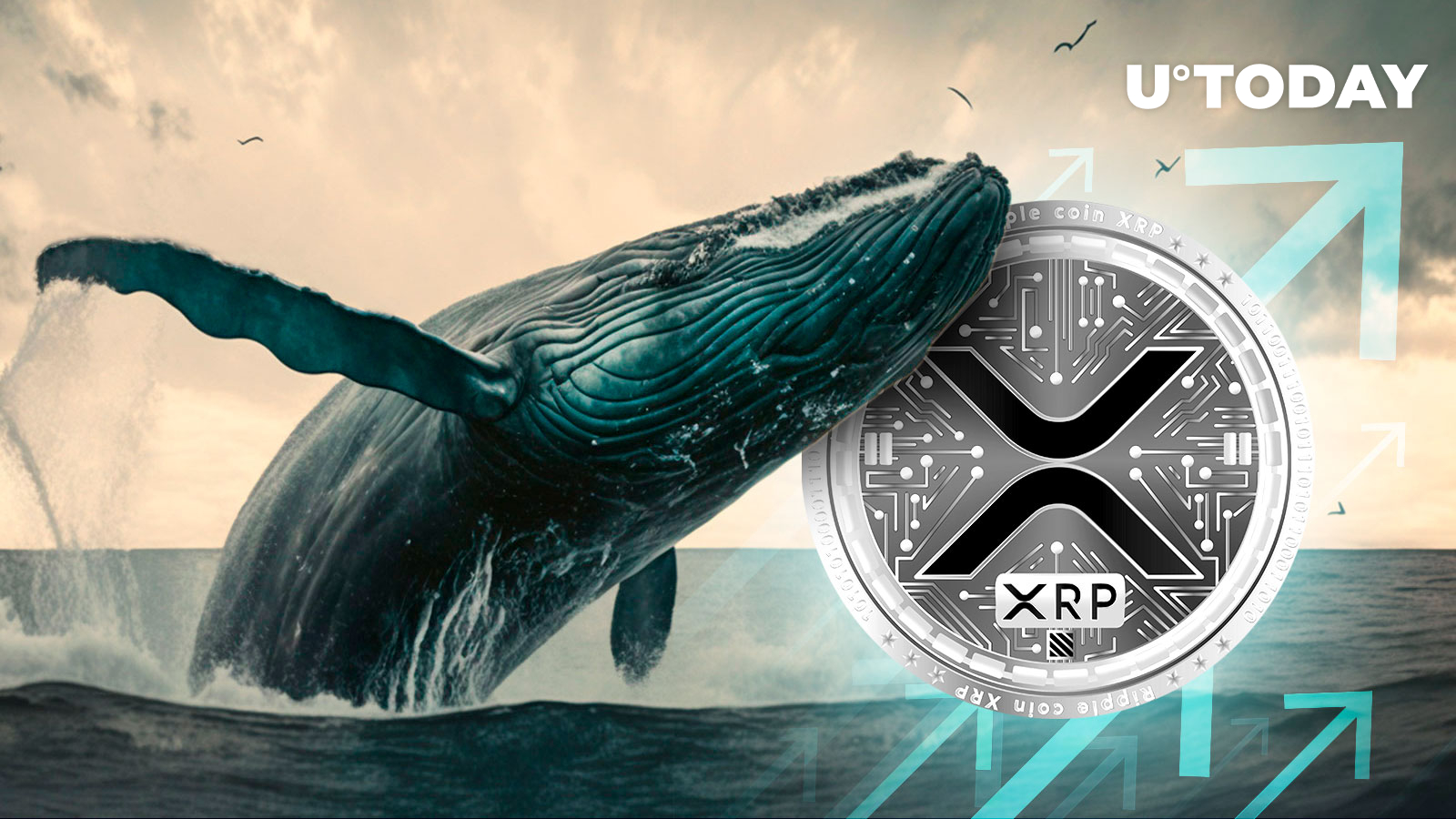 As XRP Price Recovers, Whale Activity and Wallet Holdings Surge