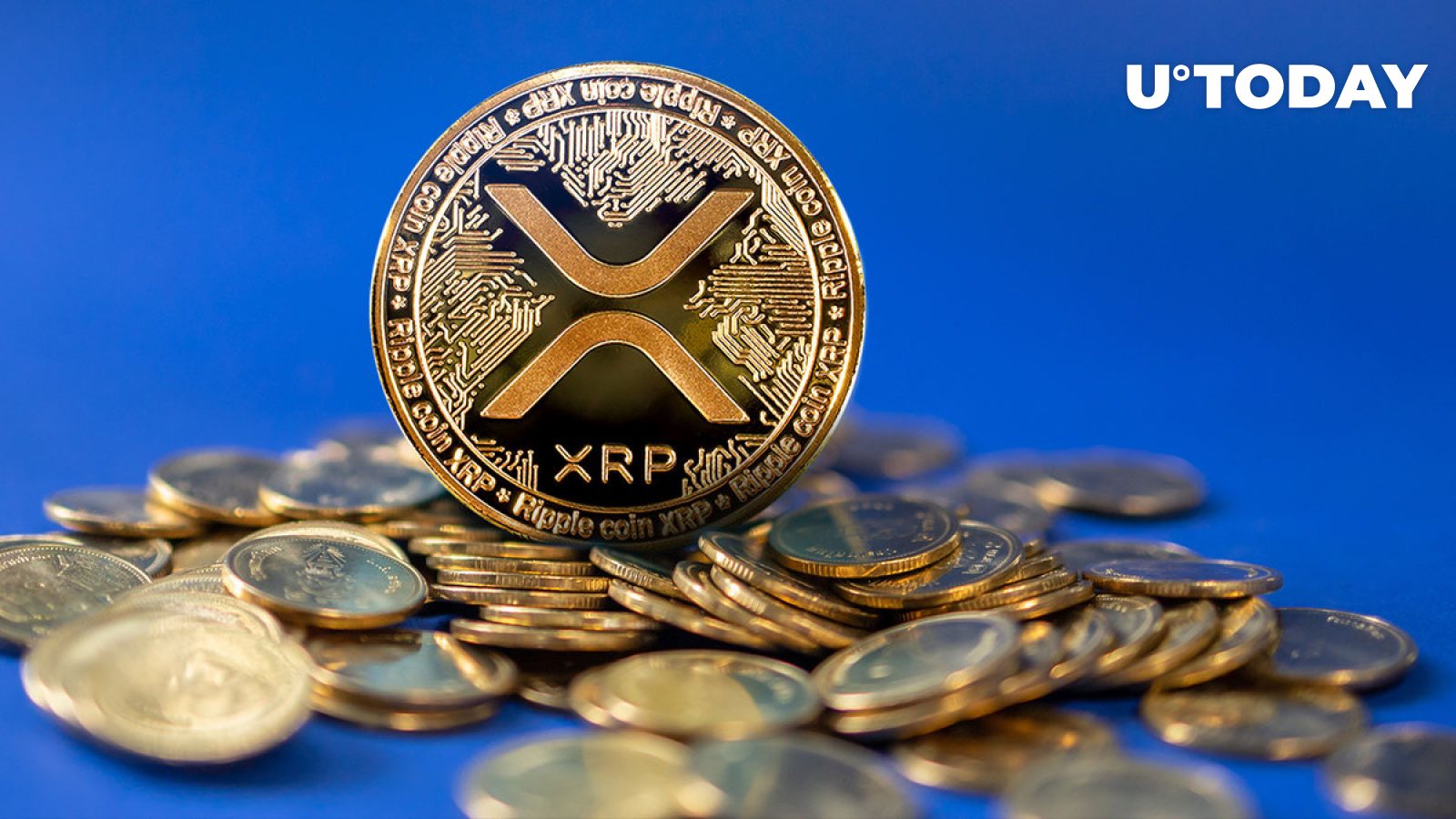 XRP Holders Should Keep This Key Date in Mind Concerning This Airdrop: Details