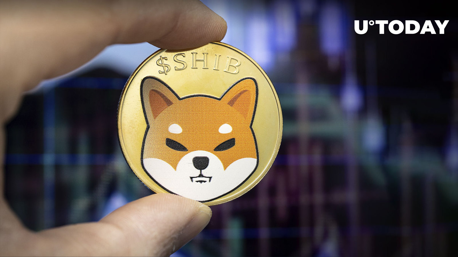 This Trader Is Bullish on Shiba Inu (SHIB)