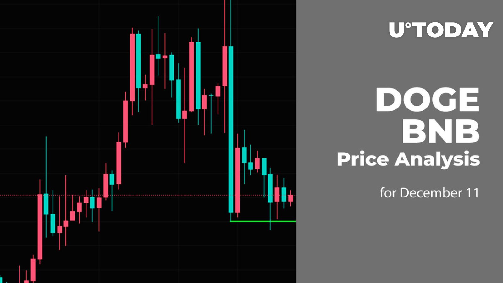 DOGE and BNB Price Analysis for December 11