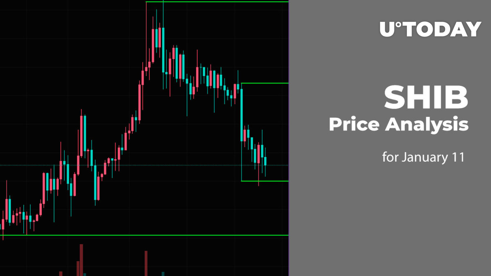 SHIB Price Analysis for January 11