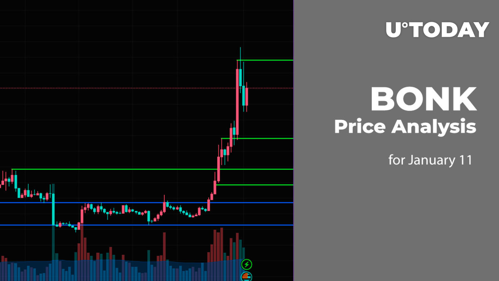 BONK Price Analysis for January 11