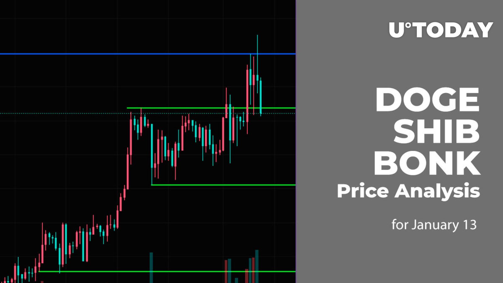 DOGE, SHIB and BONK Price Analysis for January 13