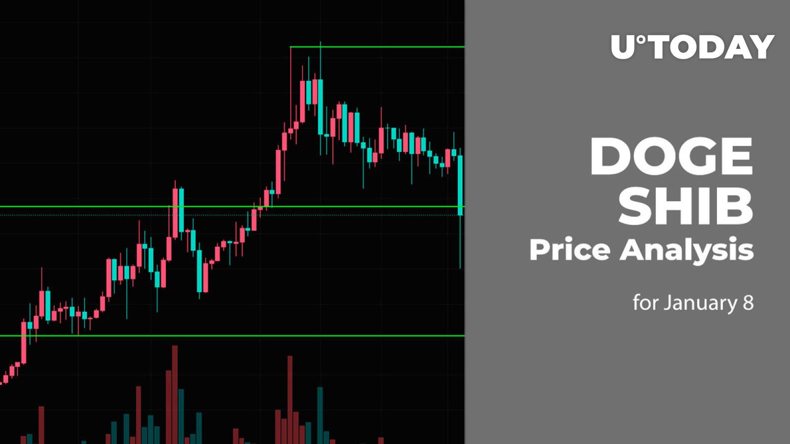 DOGE and SHIB Price Analysis for January 8