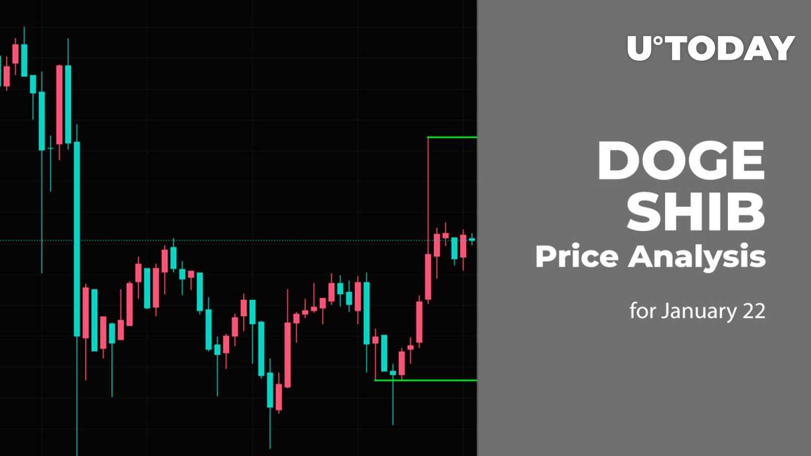 DOGE and SHIB Price Analysis for January 22