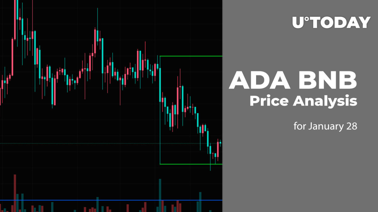 ADA and BNB Price Analysis for January 28