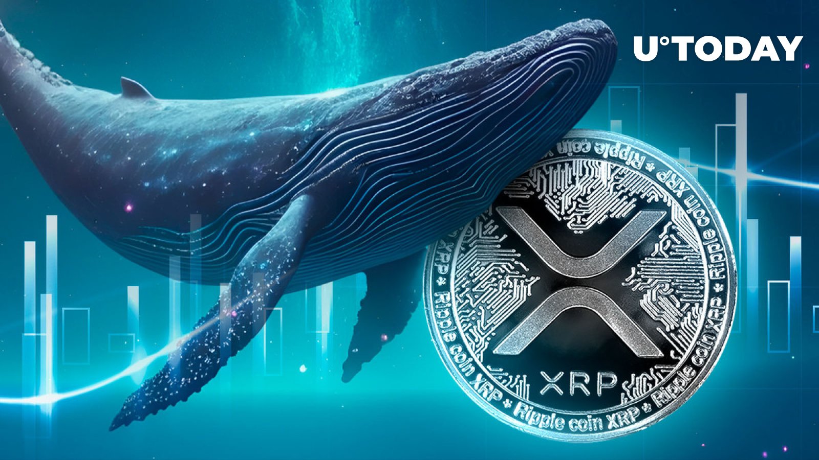 XRP Witnesses Unusual  Million Whale Activity