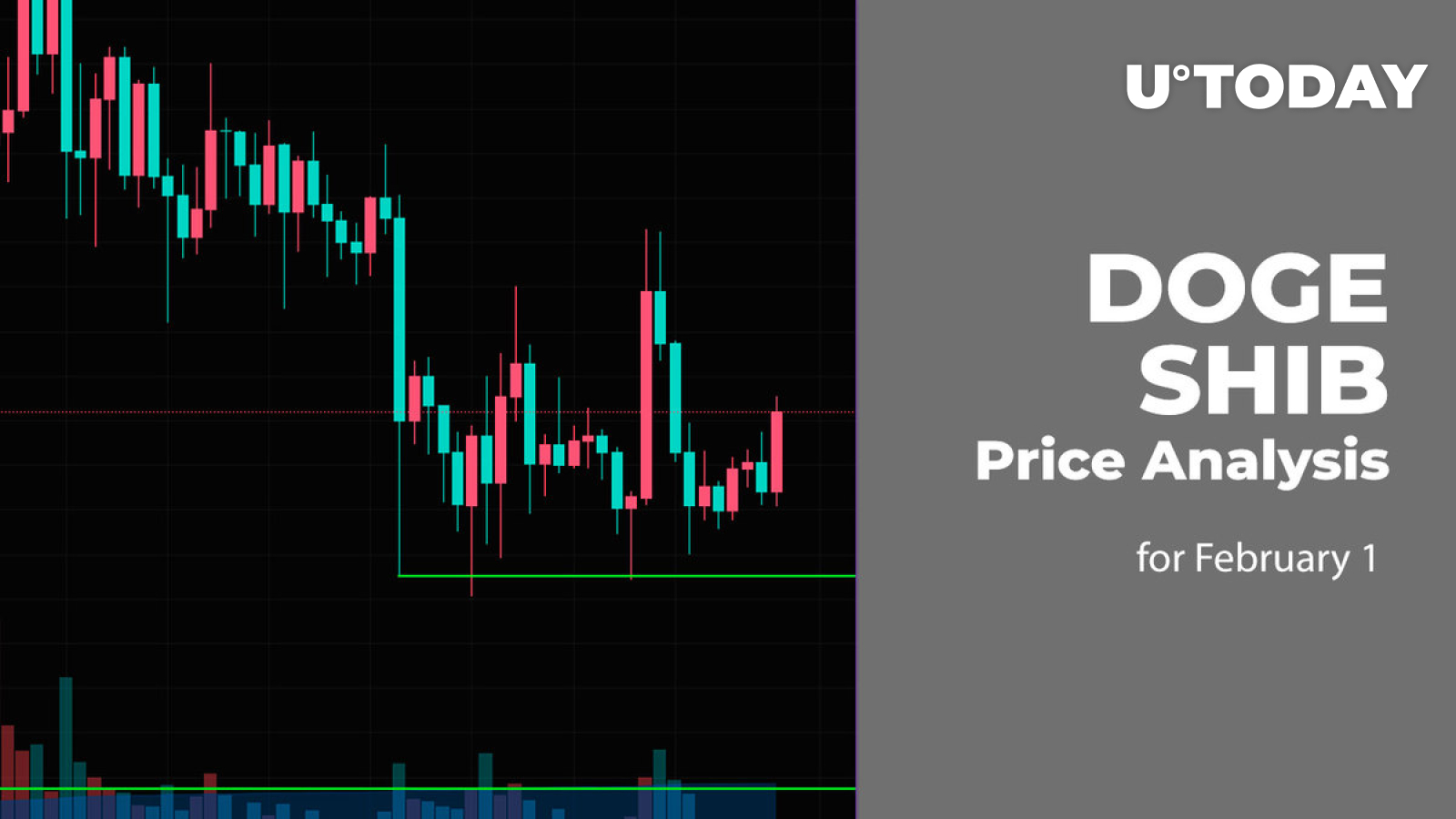 DOGE and SHIB Price Analysis for February 1