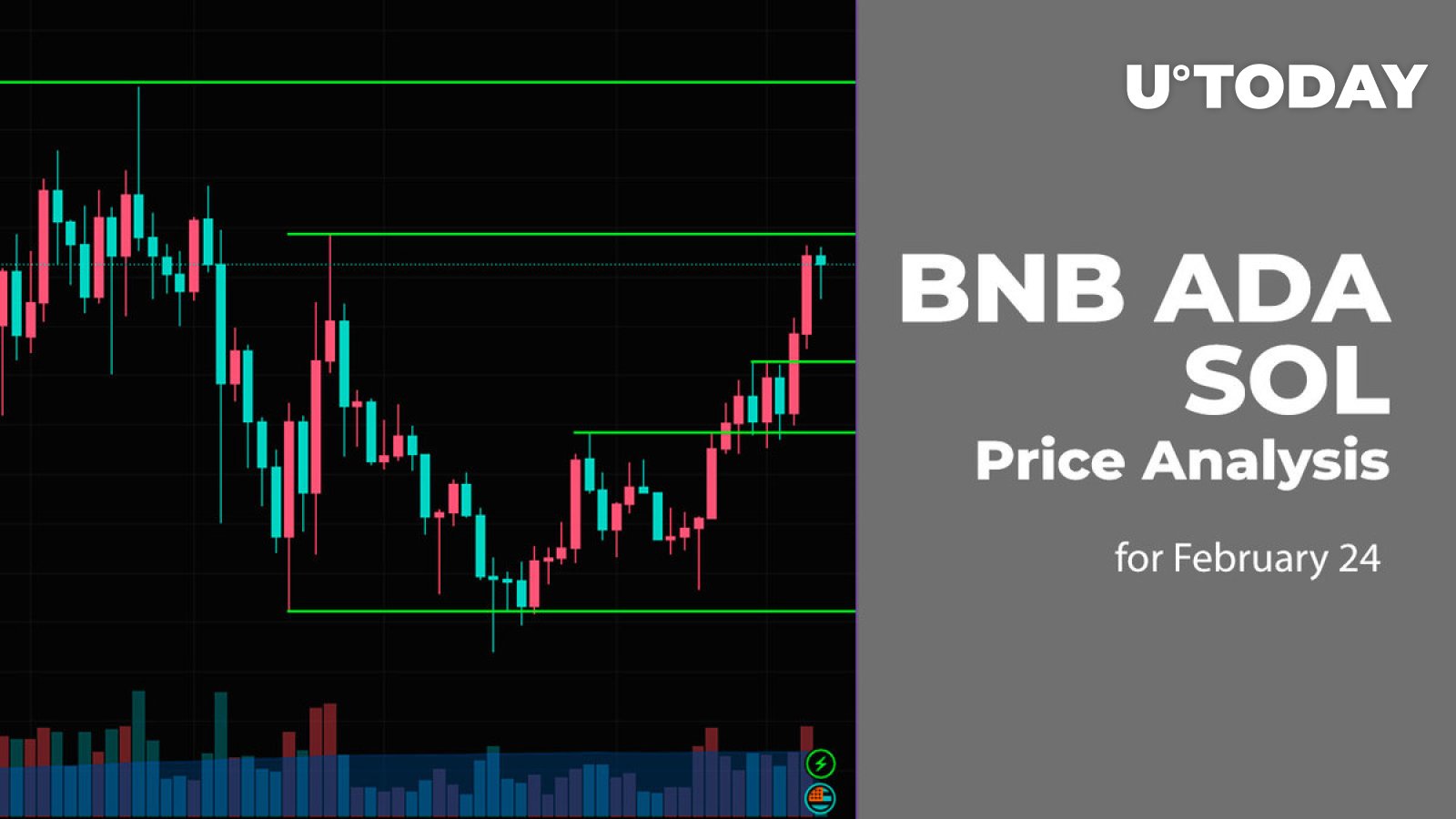 BNB, ADA and SOL Price Prediction for February 24