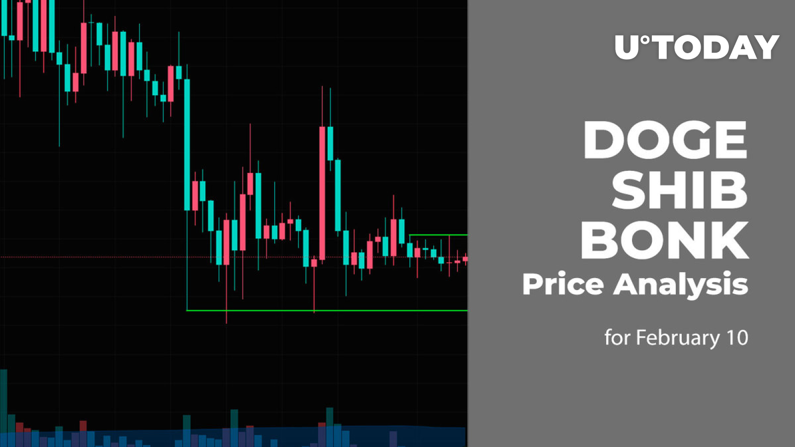 DOGE, SHIB and BONK Price Prediction for February 10