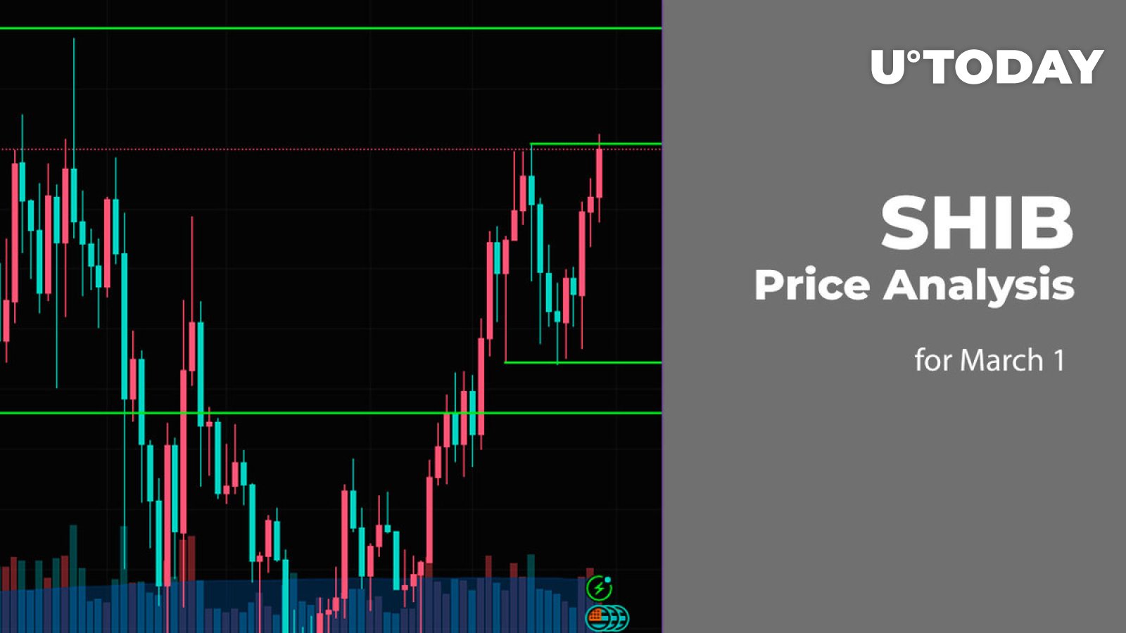 SHIB Price Prediction for March 1