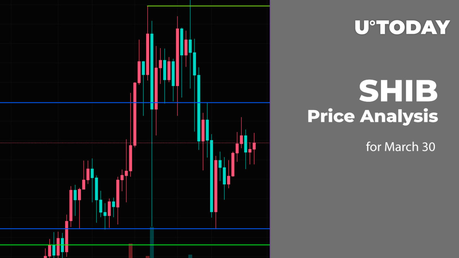 SHIB Price Prediction for March 30