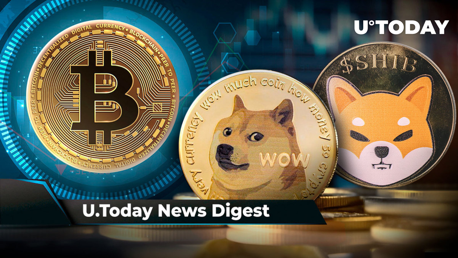 671,000 BTC Bought by Million Bitcoin Addresses at This Demand Zone, DOGE Rally Leaves 80% of Investors in Profit, 3 Trillion SHIB Moved to Robinhood Address: Crypto News Digest by U.Today
