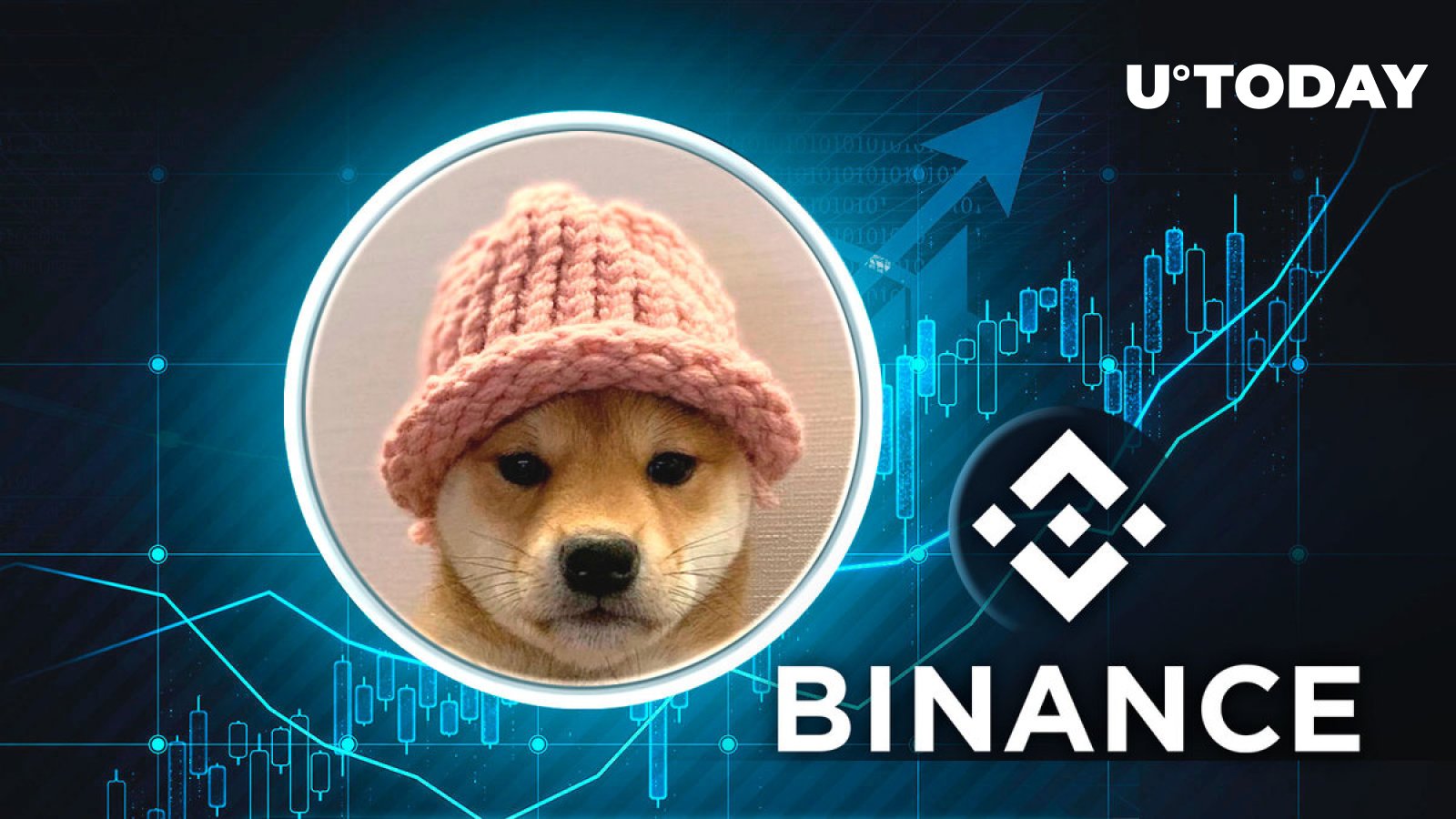 Dogwifhat (WIF) Price Skyrockets 27% as Binance Finally Spot Lists ...