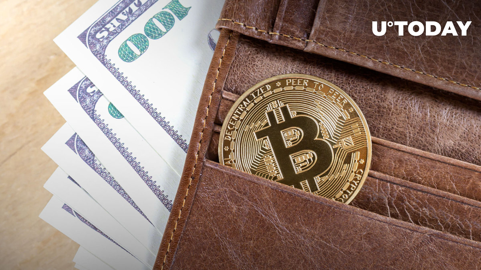 100% Bitcoin Wallets Currently in Profit: Details