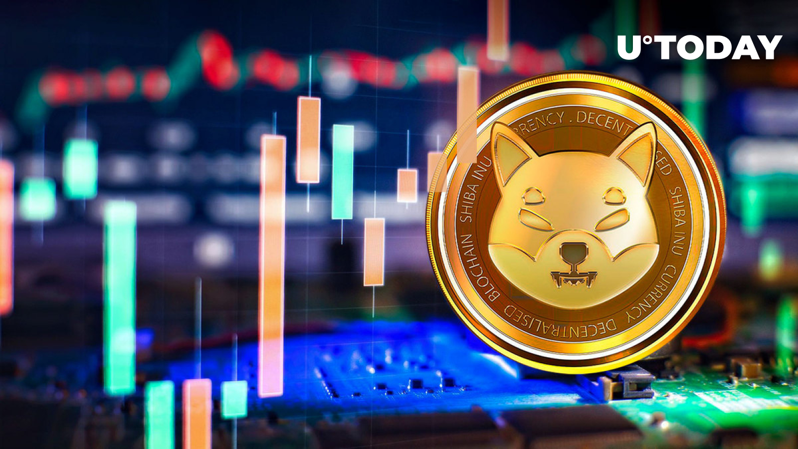 Largest SHIB Holder Ever Revealed – Hold Tight