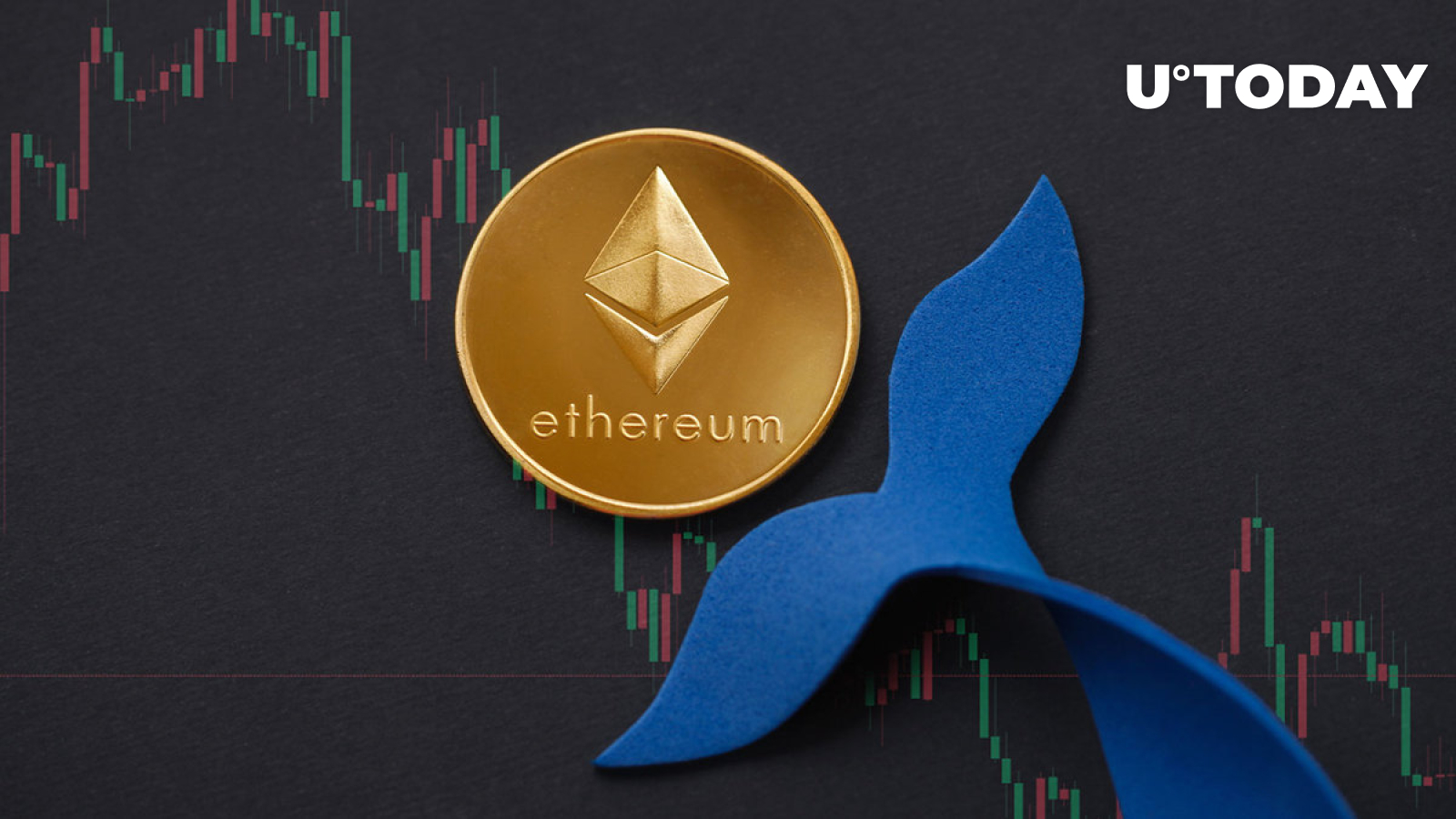 Whales Dive In as ,000 Support Falters