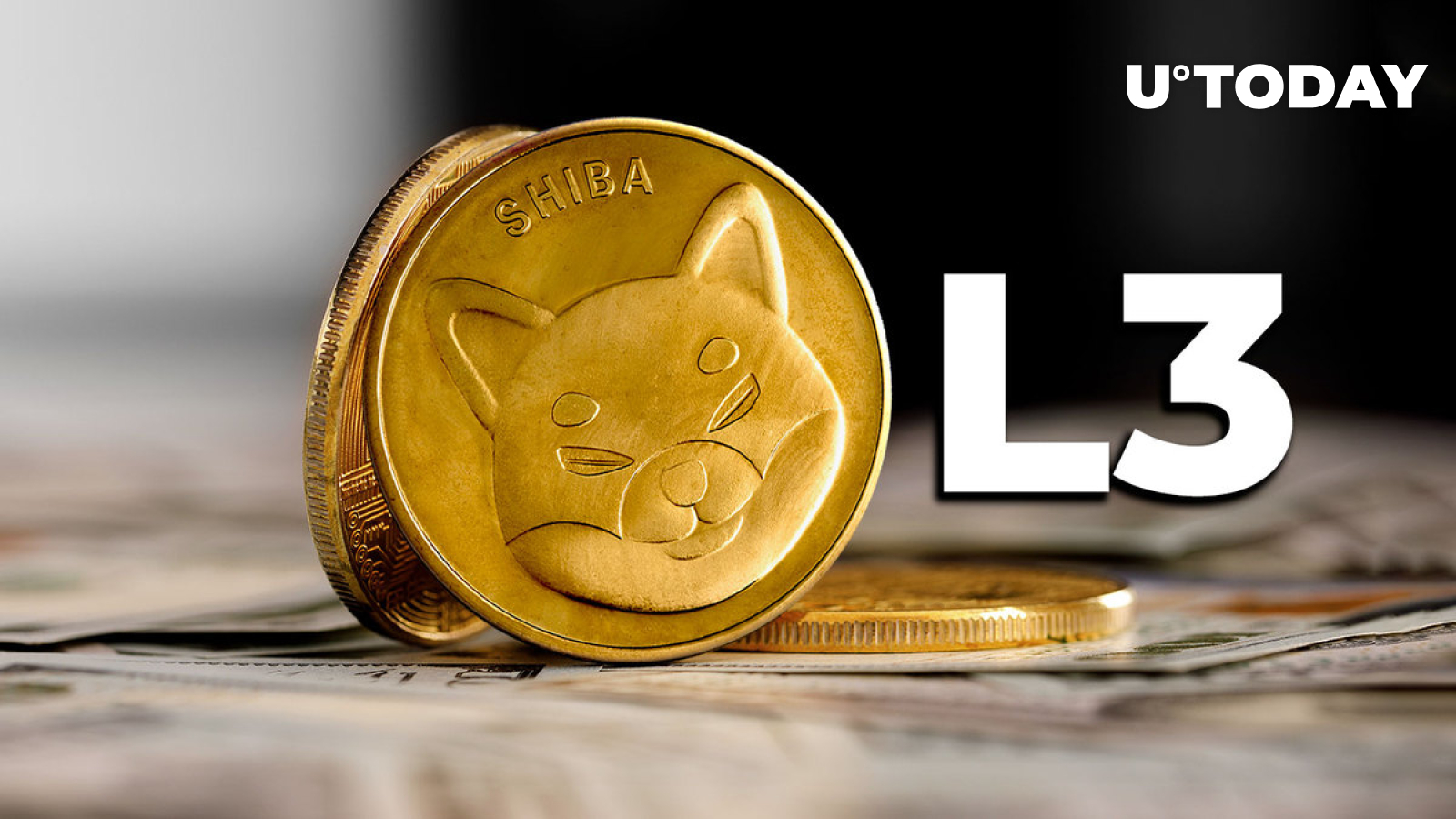 Shiba Inu Bags $12 Million From Investors to Develop Shibarium Successor