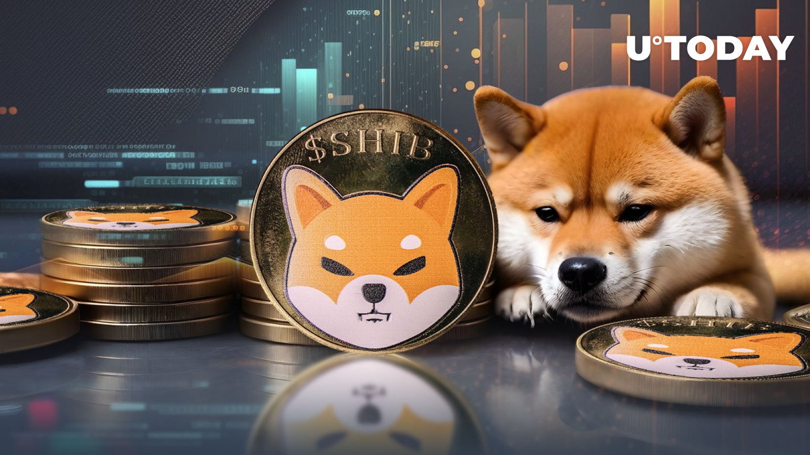 Shiba Inu Skyrockets 1,590% in Key Metric as Whales Dive in to Save SHIB Price