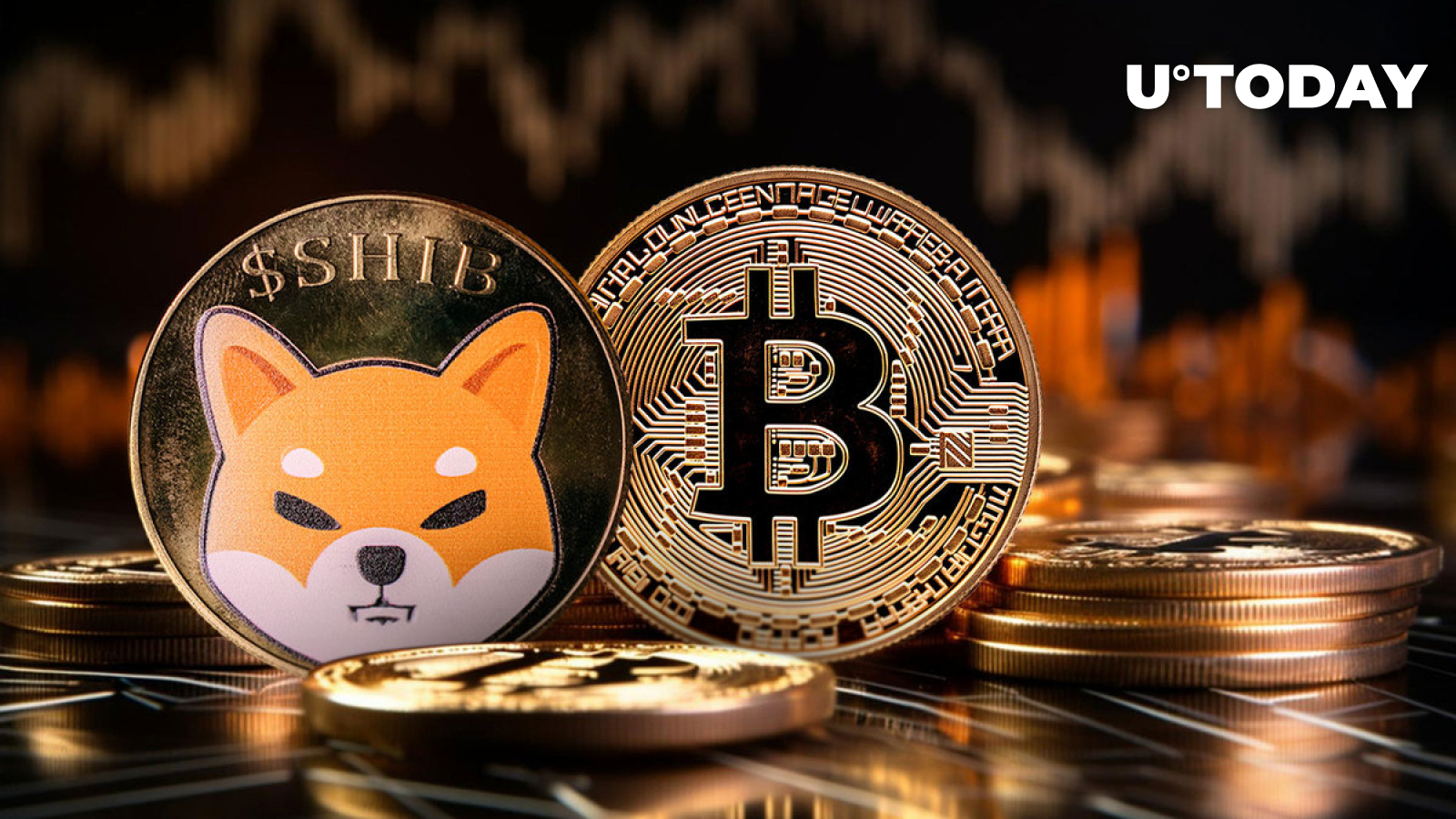 Shiba Inu Insider Issues Wake-up Call on SHIB, BTC