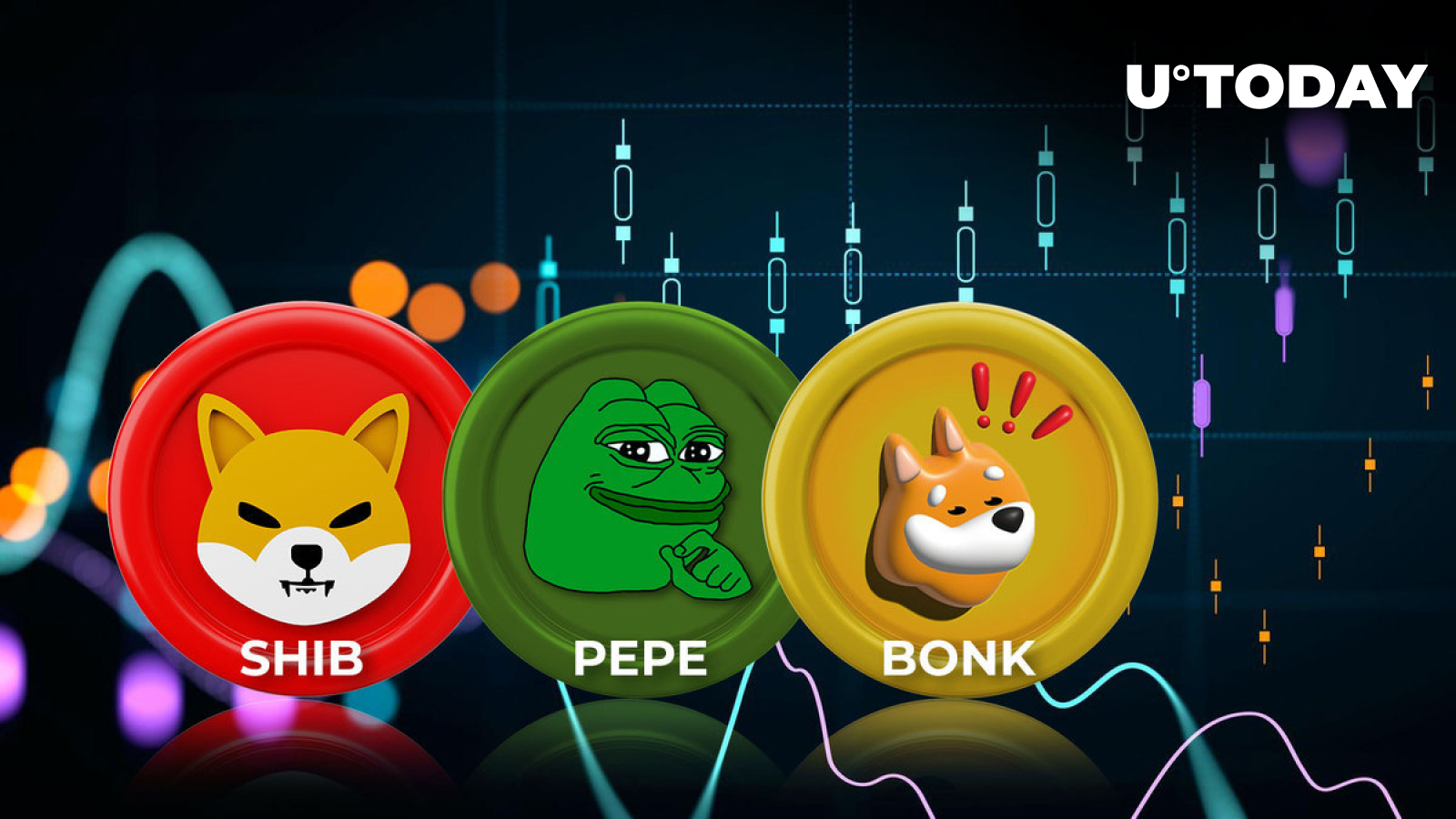 SHIB, PEPE, FLOKI, BONK: Meme Coins Amid Best Performers