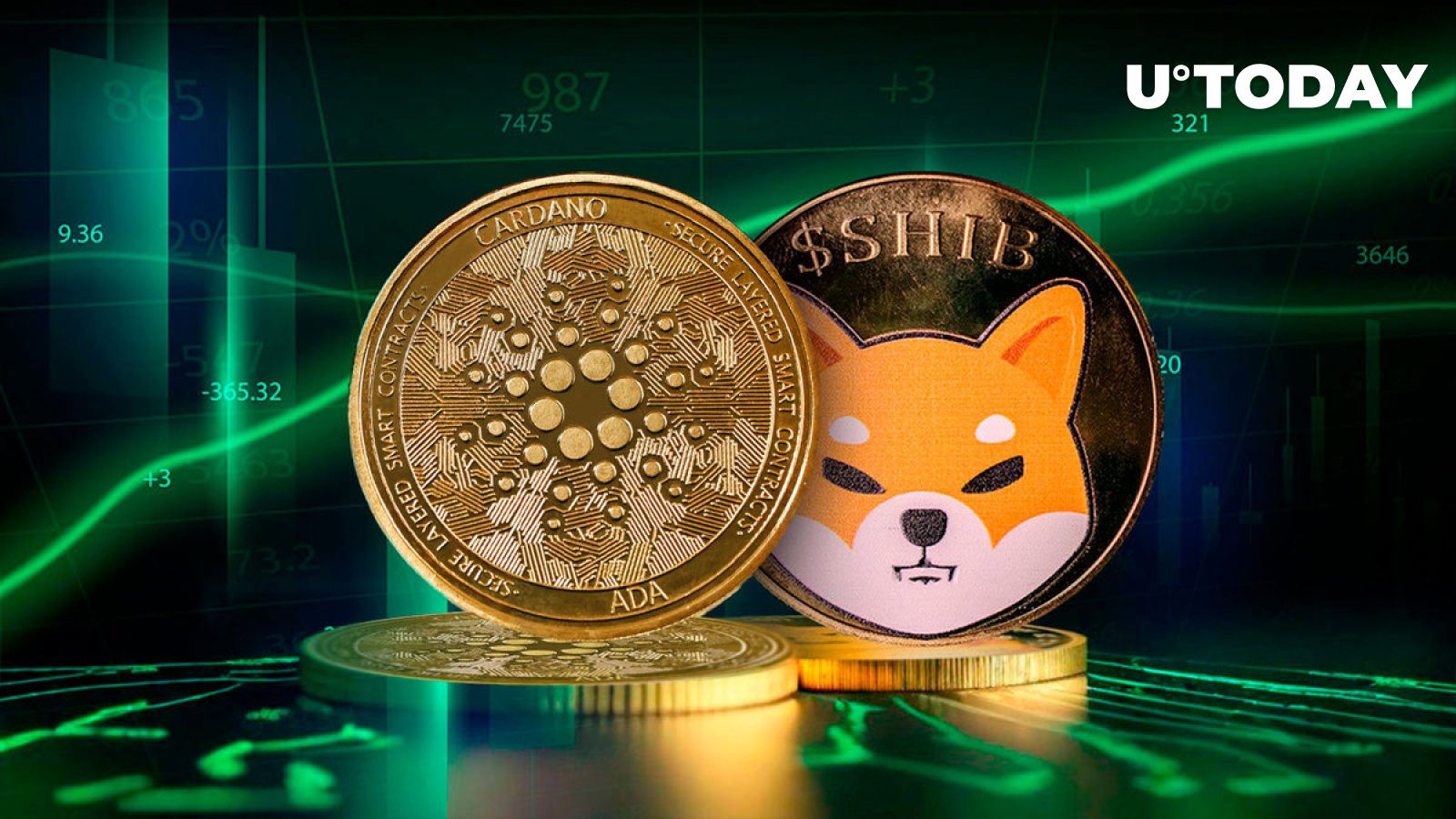 Shiba Inu (shib) And Cardano Explode With Whale Activity