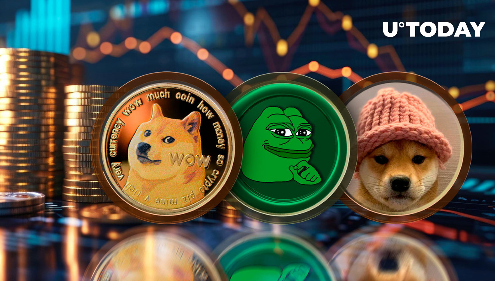 DOGE, PEPE and WIF See Millions in Token Liquidations, Here's What Happened