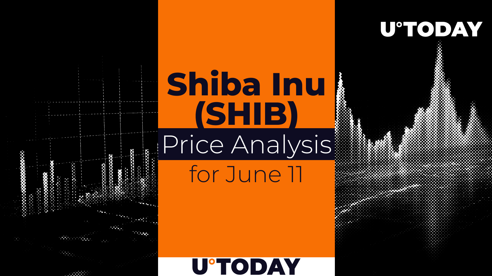 SHIB Price Prediction for June 11