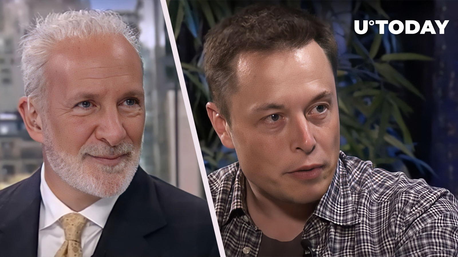 Bitcoin Critic Peter Schiff Asks Elon Musk Important Question