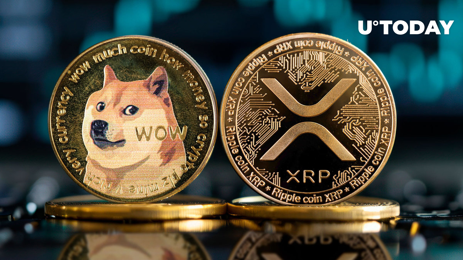 Xrp Vs. Dogecoin: Who Tops Market?