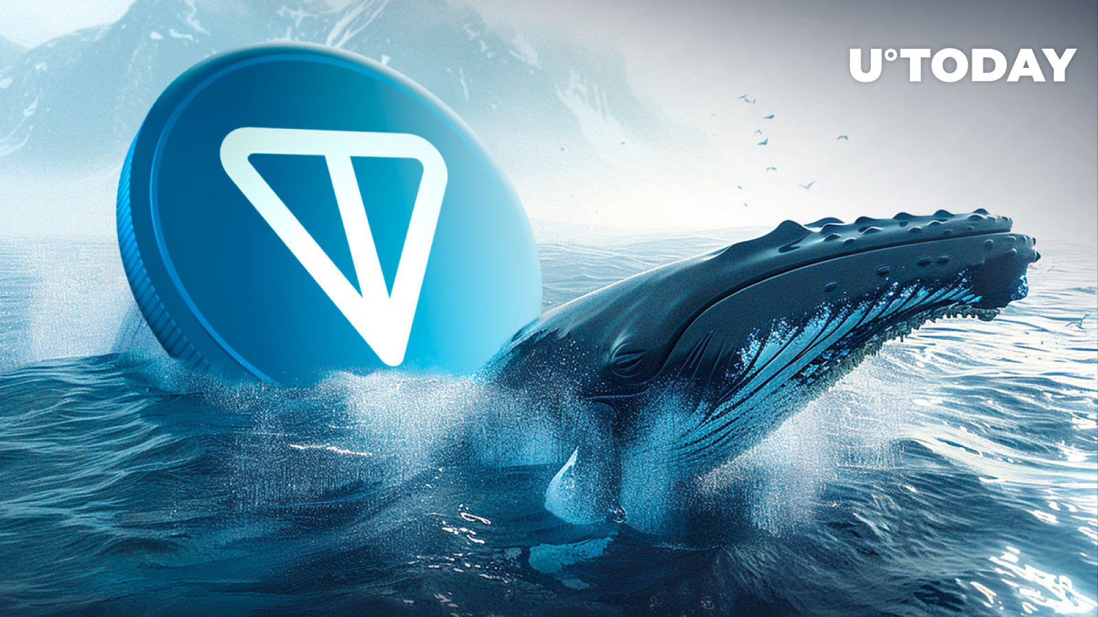 Toncoin Skyrockets 306% in Whale Activity as TON Trails XRP