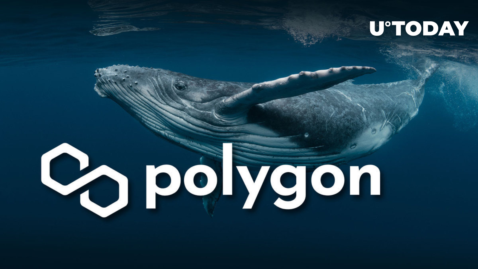 Polygon (MATIC) Skyrockets 1,453% in Whale Activity Climb, What Next?