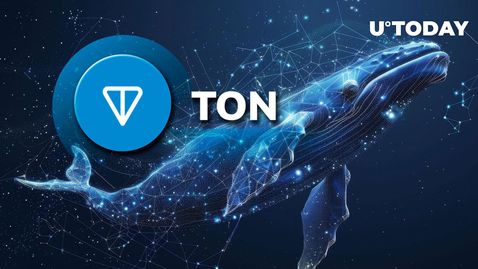 TON Surges 983% in Key Whale Metric as Market Faces Uncertainty