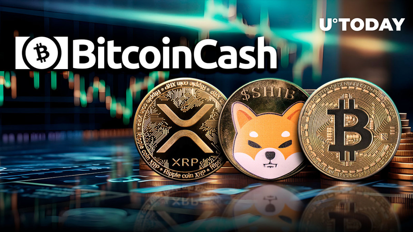 BTC, XRP and SHIB Outshined By 14% Bitcoin Cash (BCH) Surge