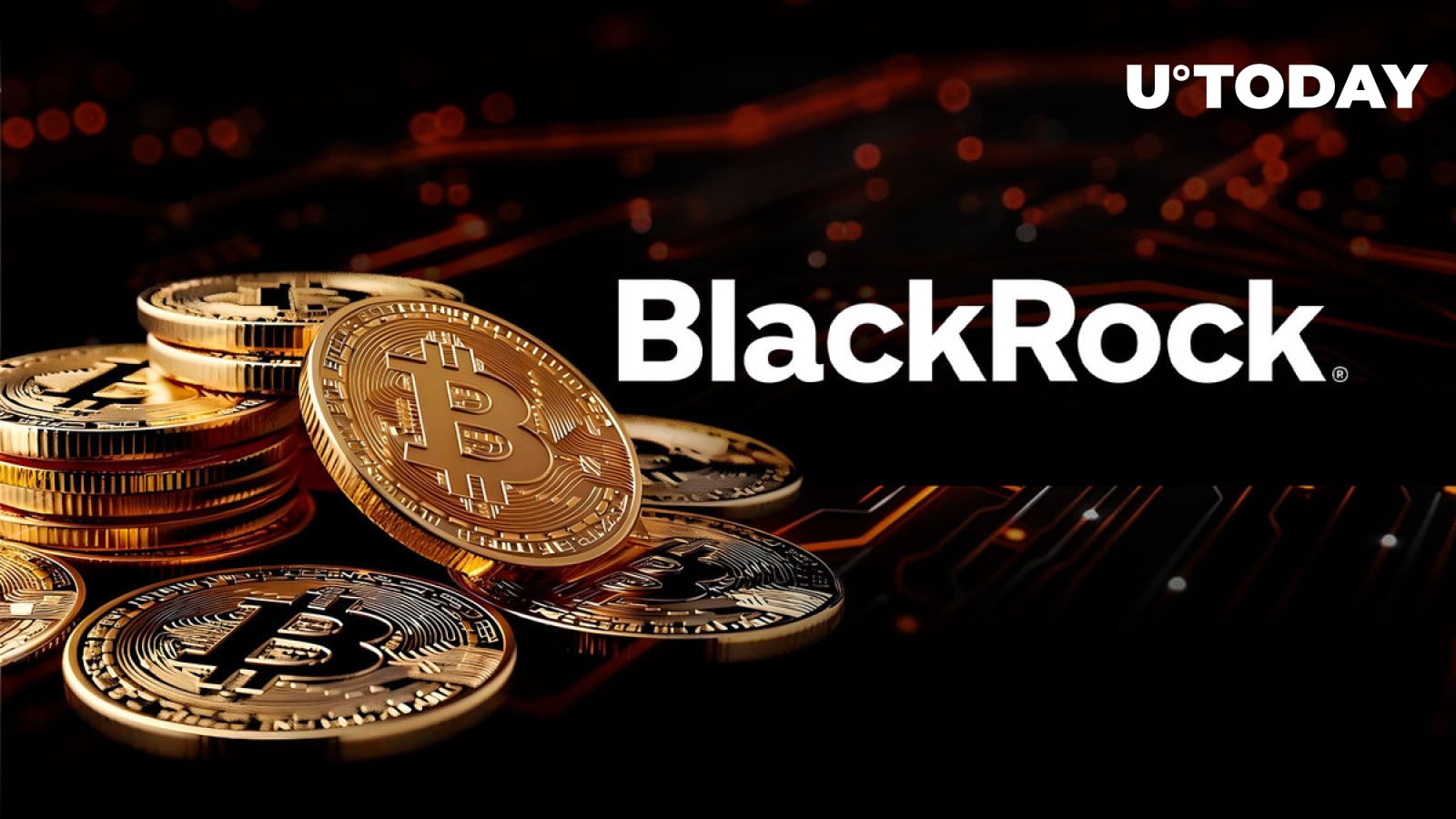 BlackRock Did Not Sell During Crypto Market Crash: Details