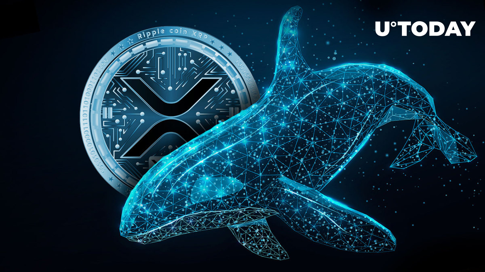 XRP Whale Activity Rises as 155 Million XRP Disappear