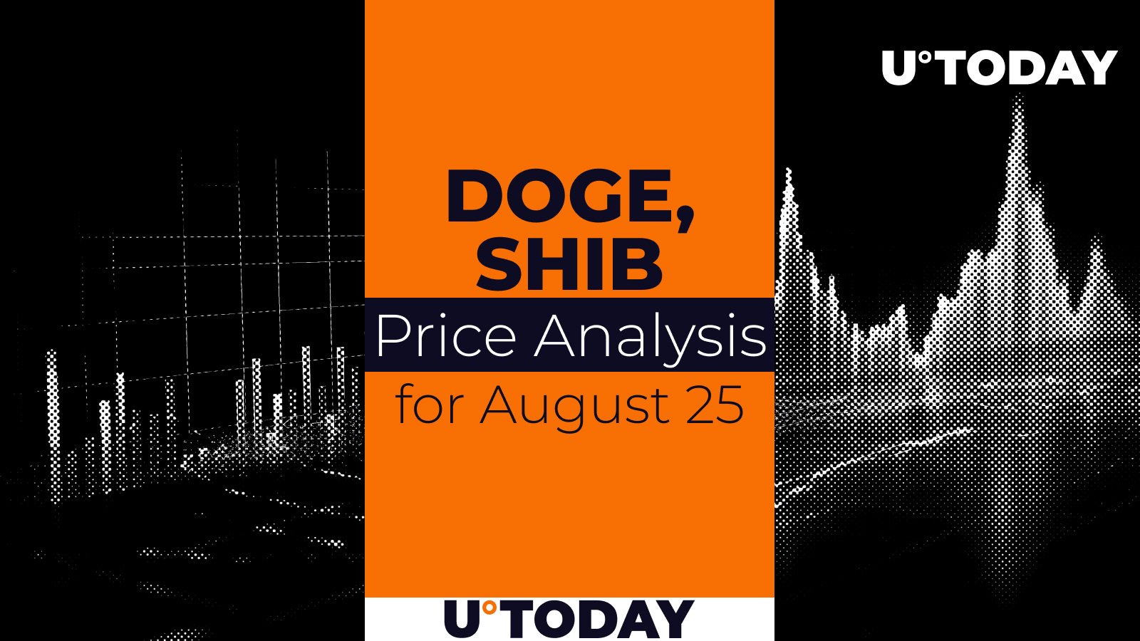 DOGE and SHIB Prediction for August 25