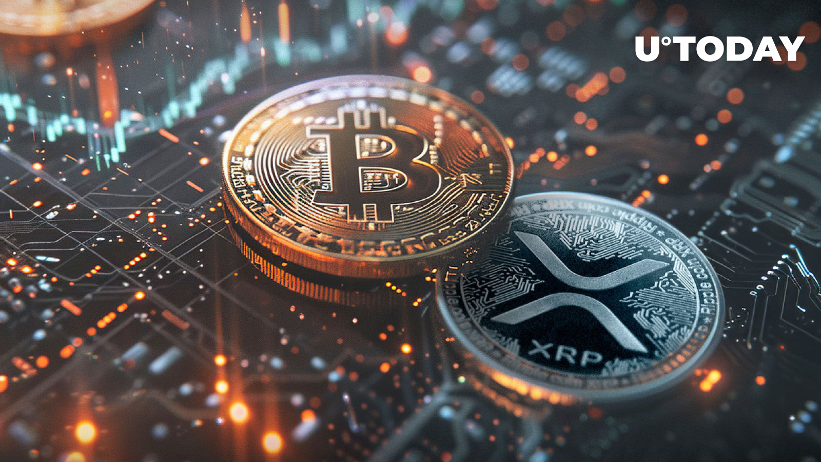 'All X Accounts with XRP Initials Will Disappear': Peter Brandt Issues XRP-to-Bitcoin Warning