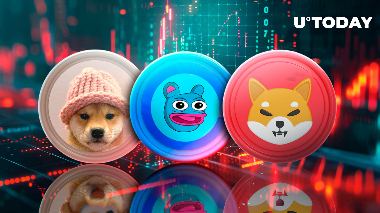 SHIB Rivals WIF, BRETT Worst Performers Today