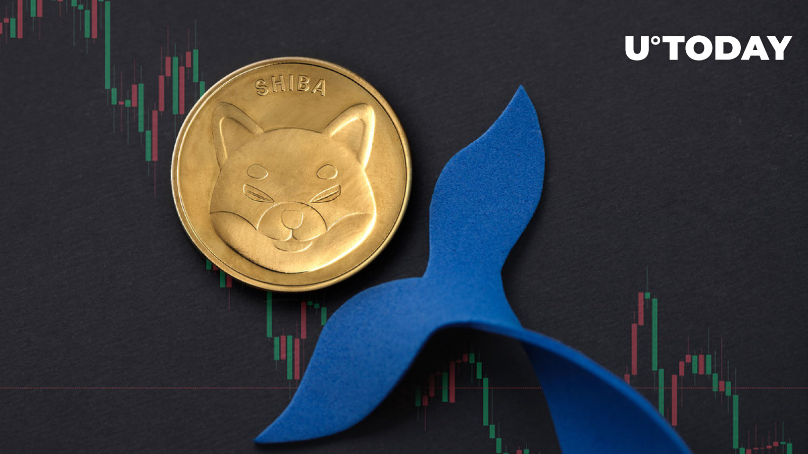 Shiba Inu (SHIB) Whales Disappeared: 1.2 Trillion in 24 Hours