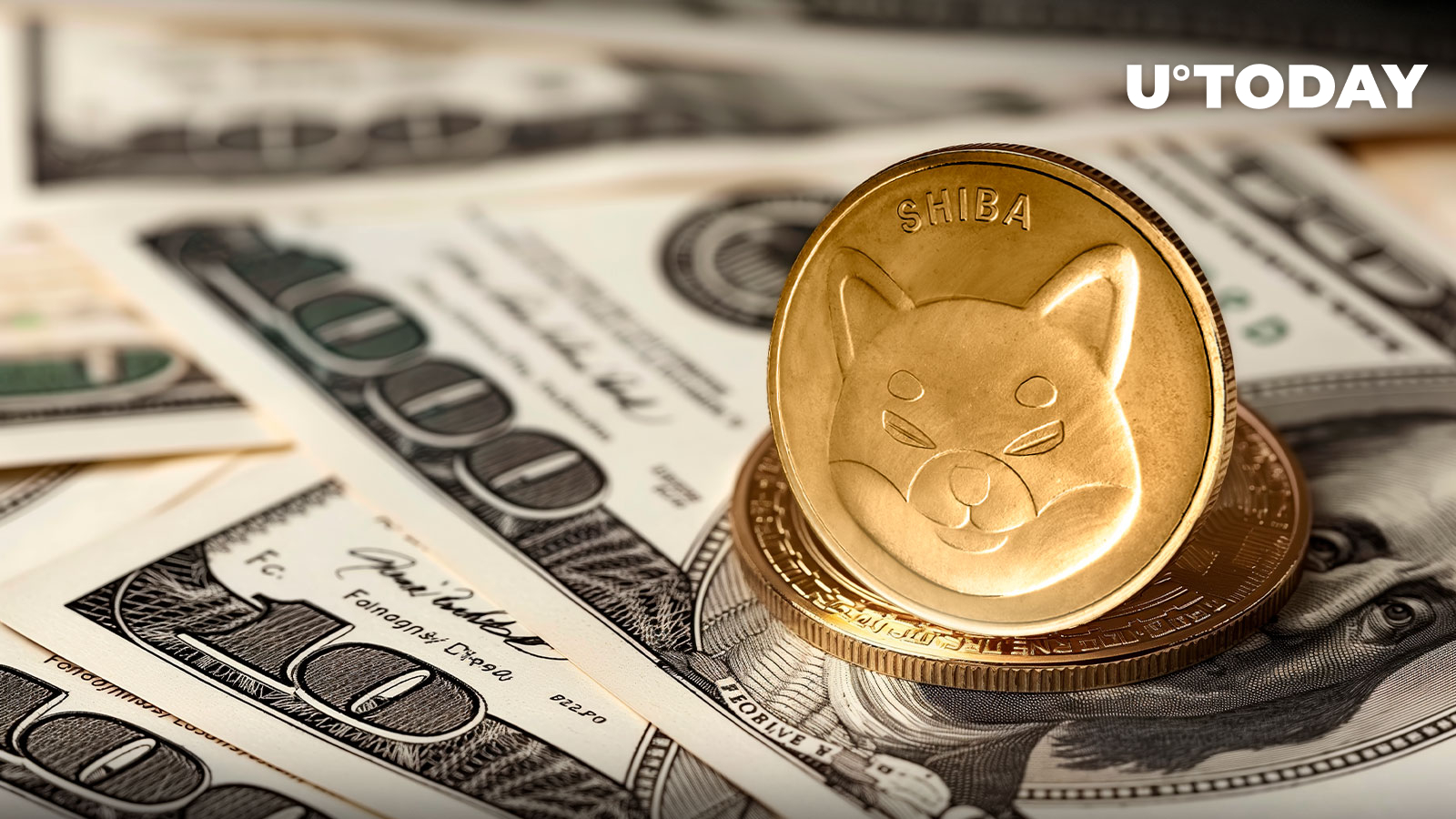 337 Billion Shiba Inu (SHIB) in 24 Hours, What's Happening?