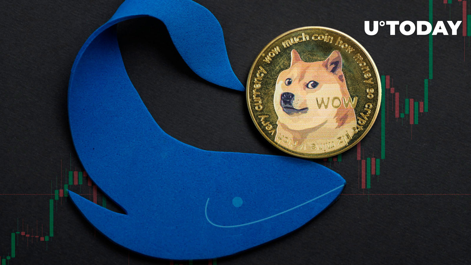 Dogecoin Rockets 1,476% With Whale Buys