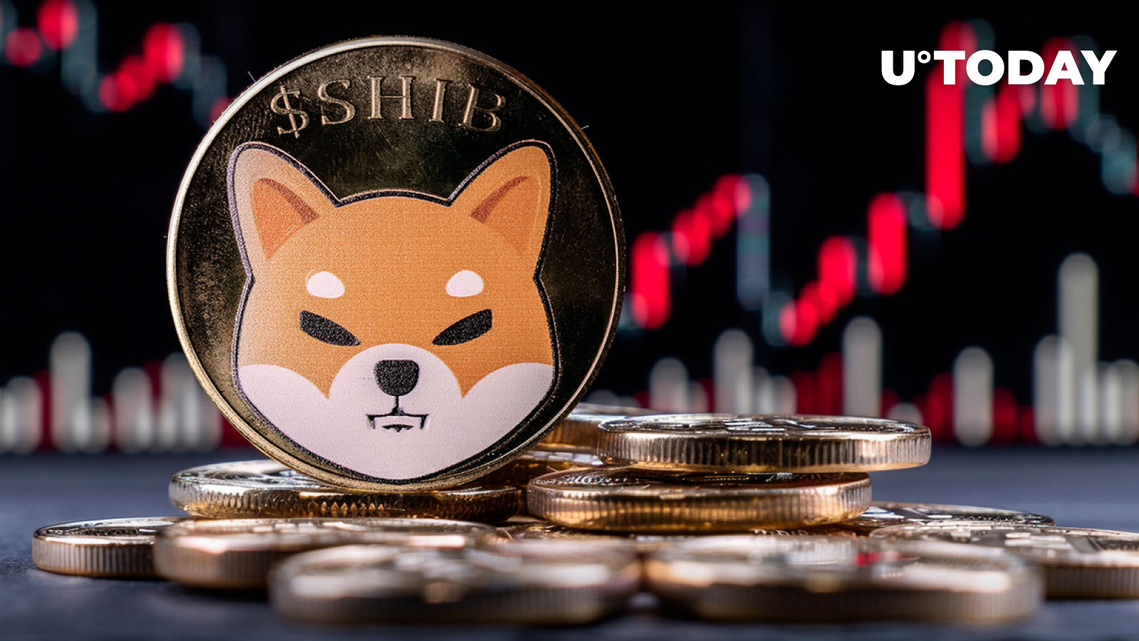 Key SHIB Metric Frozen in Past Few Days - What's Happening?