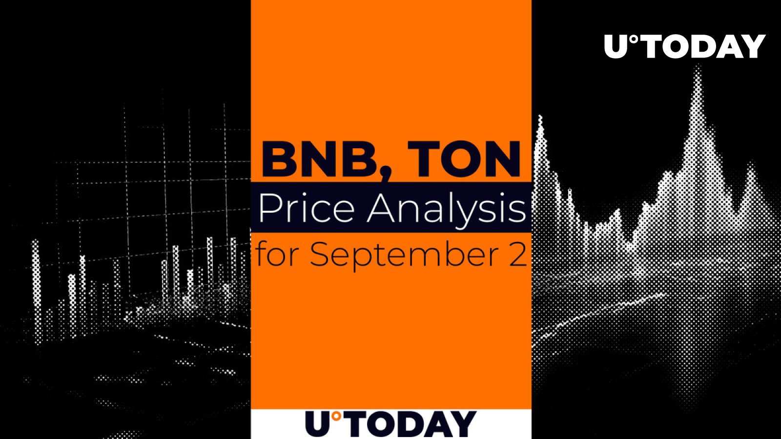 BNB and TON Prediction for September 2