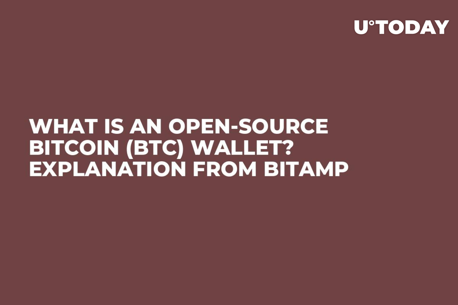 What Is An Open-Source Bitcoin (BTC) Wallet? Explanation from Bitamp -  U.Today