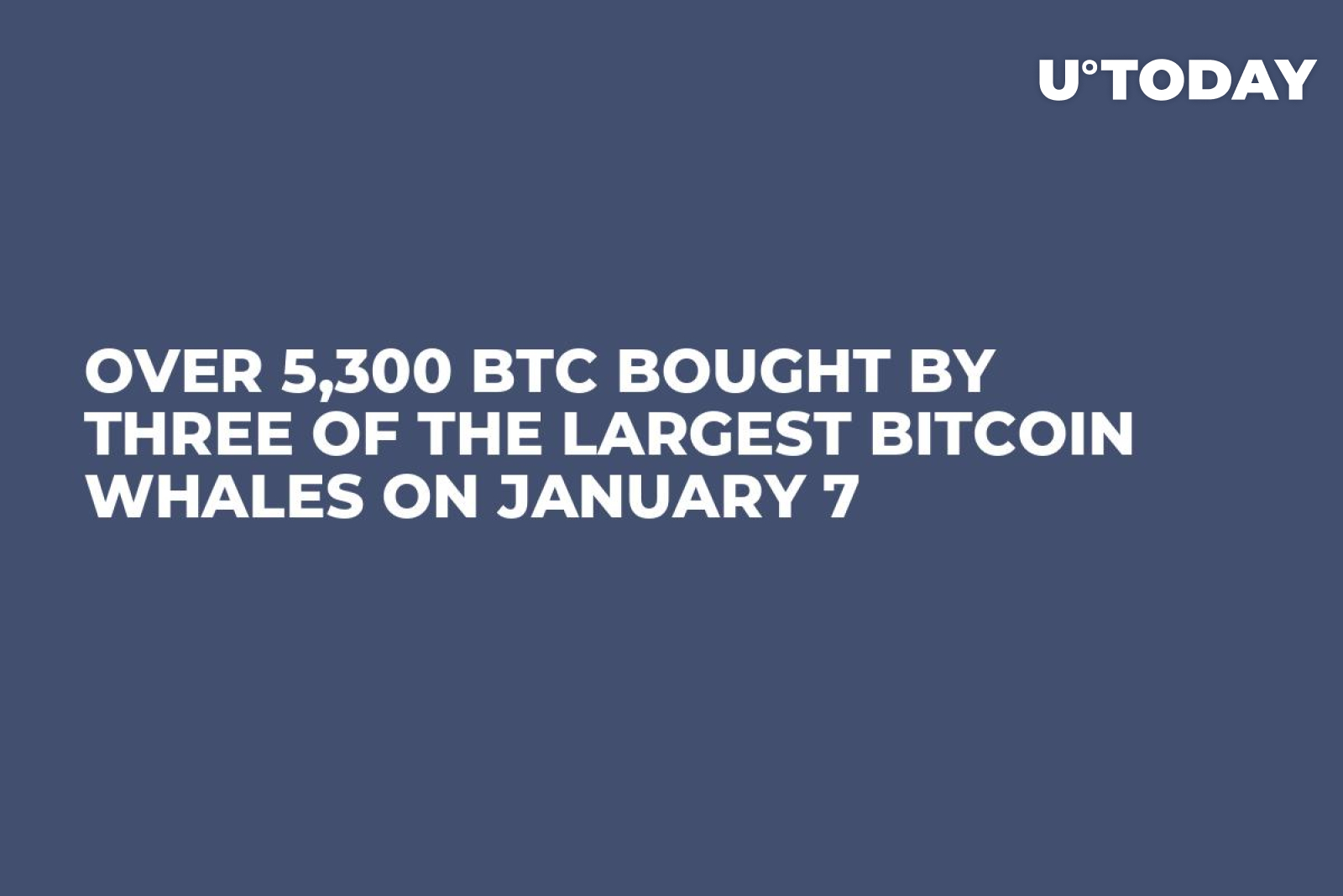 Over 5,300 BTC Bought by Three of the Largest Bitcoin Whales on January 7 -  U.Today